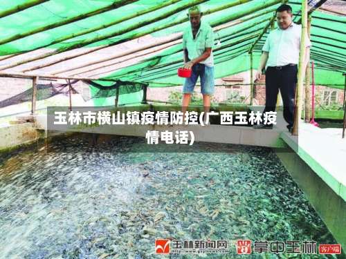 玉林市横山镇疫情防控(广西玉林疫情电话)