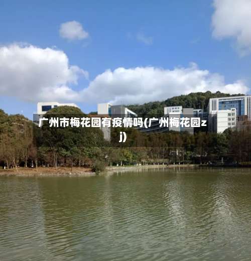 广州市梅花园有疫情吗(广州梅花园zj)-第2张图片