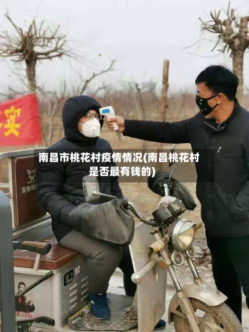 南昌市桃花村疫情情况(南昌桃花村是否最有钱的)