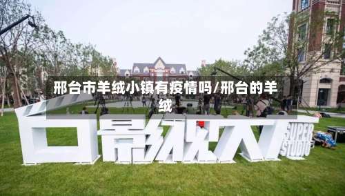 邢台市羊绒小镇有疫情吗/邢台的羊绒