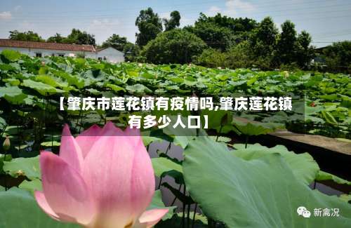 【肇庆市莲花镇有疫情吗,肇庆莲花镇有多少人口】-第2张图片