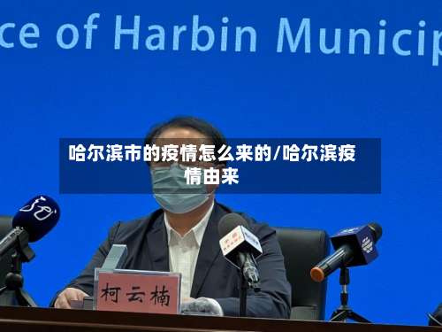 哈尔滨市的疫情怎么来的/哈尔滨疫情由来-第3张图片