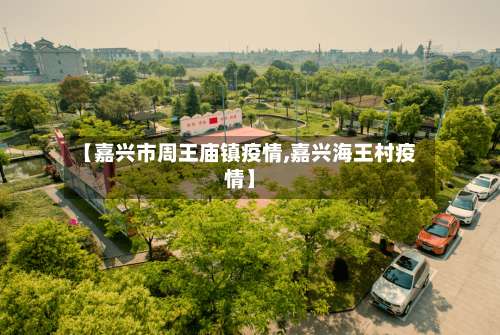 【嘉兴市周王庙镇疫情,嘉兴海王村疫情】