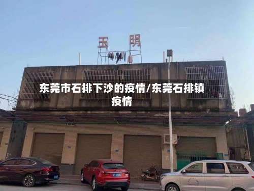 东莞市石排下沙的疫情/东莞石排镇疫情