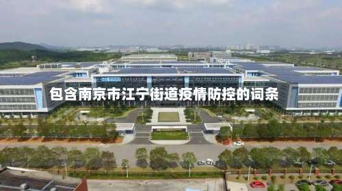 包含南京市江宁街道疫情防控的词条