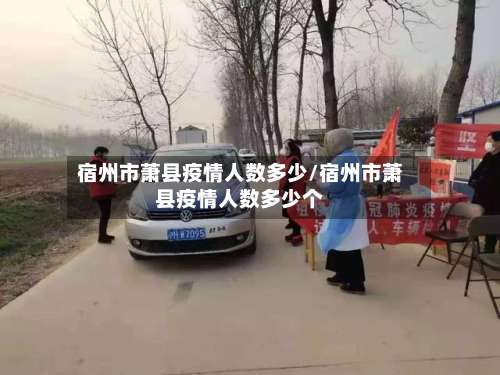 宿州市萧县疫情人数多少/宿州市萧县疫情人数多少个