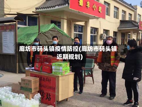 廊坊市码头镇疫情防控(廊坊市码头镇近期规划)-第2张图片