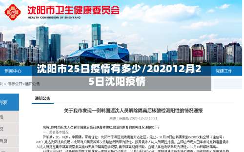 沈阳市25日疫情有多少/202012月25日沈阳疫情-第3张图片
