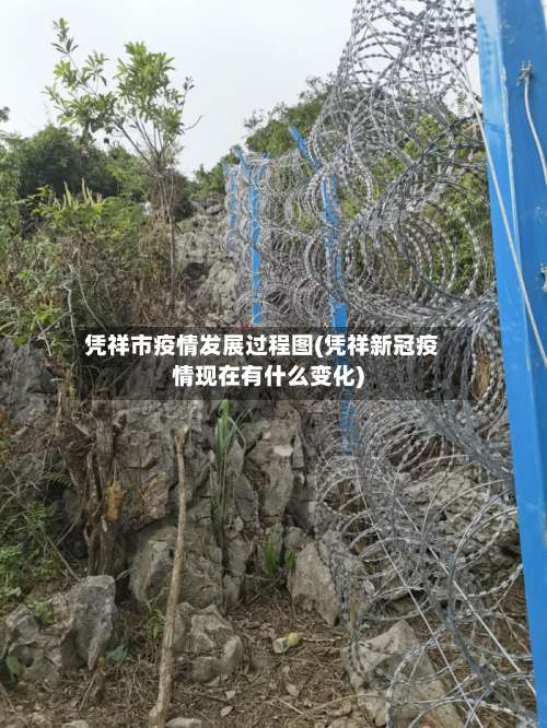 凭祥市疫情发展过程图(凭祥新冠疫情现在有什么变化)