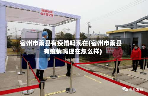 宿州市萧县有疫情吗现在(宿州市萧县有疫情吗现在怎么样)-第3张图片