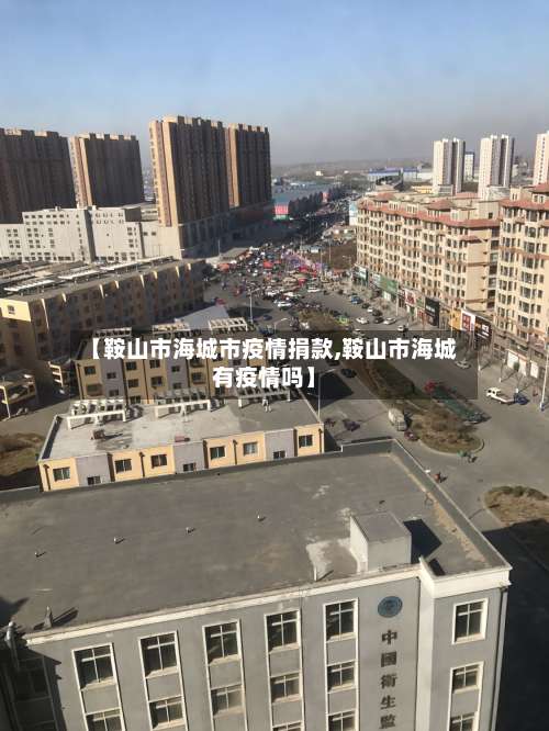 【鞍山市海城市疫情捐款,鞍山市海城有疫情吗】