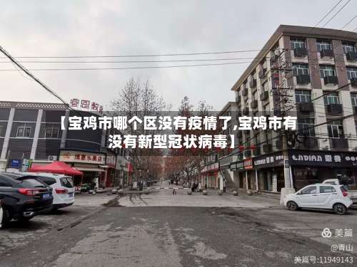 【宝鸡市哪个区没有疫情了,宝鸡市有没有新型冠状病毒】