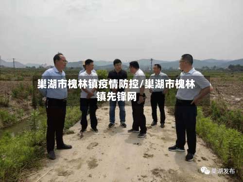巢湖市槐林镇疫情防控/巢湖市槐林镇先锋网
