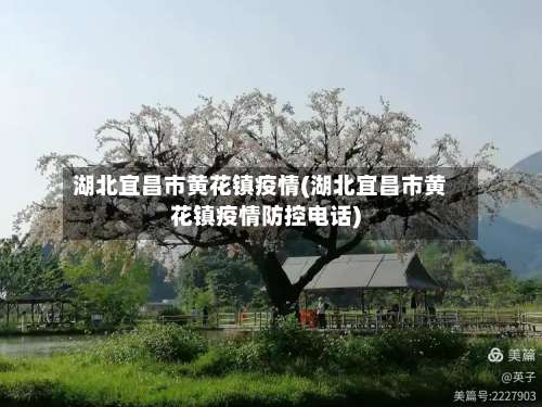 湖北宜昌市黄花镇疫情(湖北宜昌市黄花镇疫情防控电话)