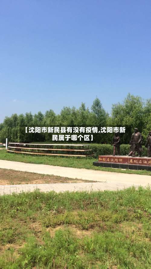 【沈阳市新民县有没有疫情,沈阳市新民属于哪个区】-第2张图片