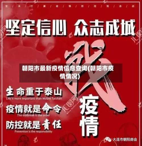 朝阳市最新疫情信息查询(朝阳市疫情情况)-第3张图片