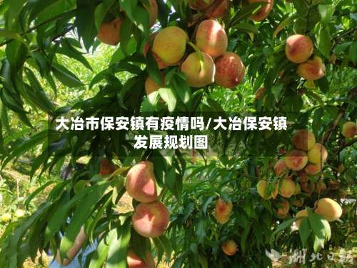 大冶市保安镇有疫情吗/大冶保安镇发展规划图