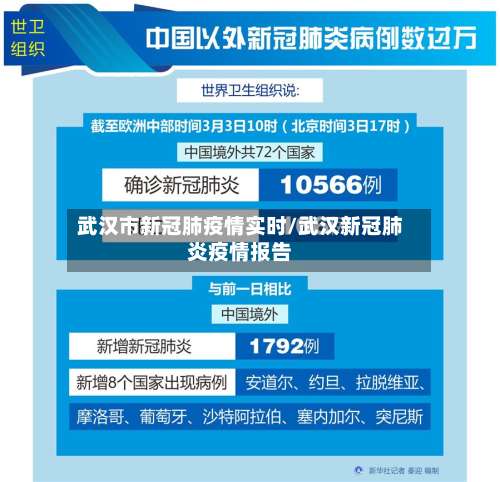 武汉市新冠肺疫情实时/武汉新冠肺炎疫情报告