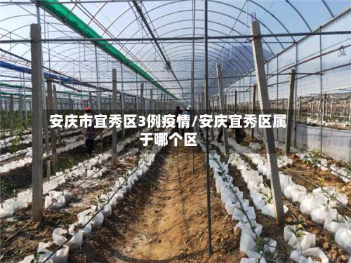 安庆市宜秀区3例疫情/安庆宜秀区属于哪个区-第2张图片