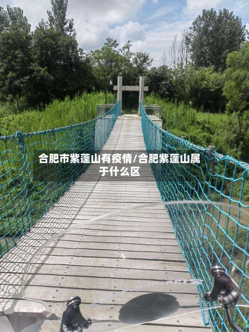 合肥市紫蓬山有疫情/合肥紫蓬山属于什么区