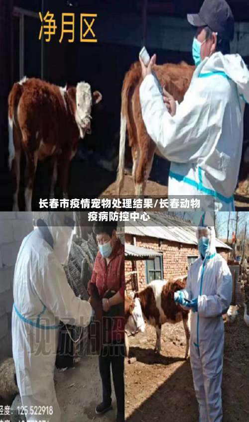 长春市疫情宠物处理结果/长春动物疫病防控中心-第3张图片