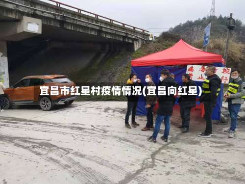 宜昌市红星村疫情情况(宜昌向红星)