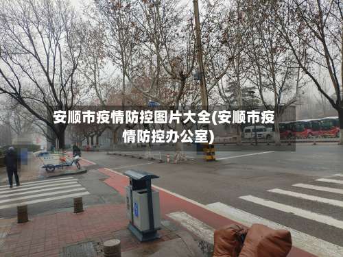 安顺市疫情防控图片大全(安顺市疫情防控办公室)