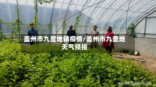 盖州市九垄地镇疫情/盖州市九垄地天气预报