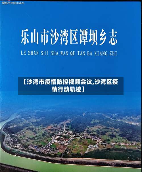 【沙湾市疫情防控视频会议,沙湾区疫情行动轨迹】
