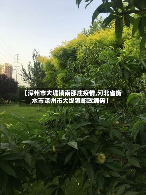 【深州市大堤镇南邵庄疫情,河北省衡水市深州市大堤镇邮政编码】