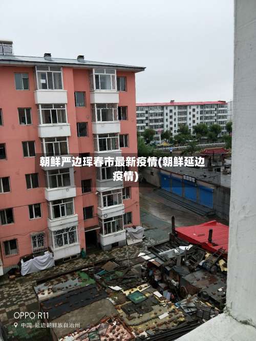 朝鲜严边珲春市最新疫情(朝鲜延边疫情)-第2张图片
