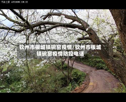 钦州市板城镇碗窑疫情/钦州市板城镇碗窑疫情防控电话-第2张图片