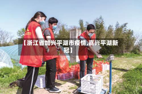 【浙江省加兴平湖市疫情,嘉兴平湖新冠】