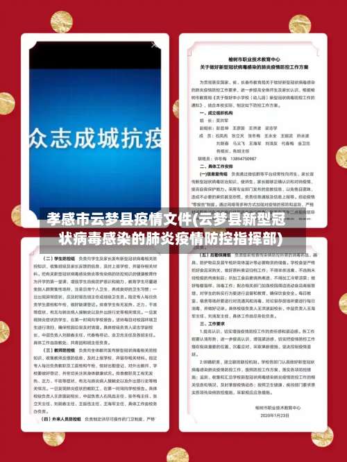 孝感市云梦县疫情文件(云梦县新型冠状病毒感染的肺炎疫情防控指挥部)-第2张图片