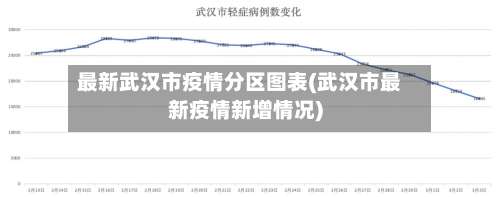 最新武汉市疫情分区图表(武汉市最新疫情新增情况)-第2张图片