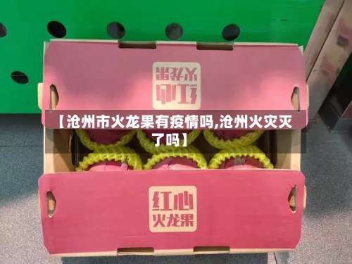 【沧州市火龙果有疫情吗,沧州火灾灭了吗】