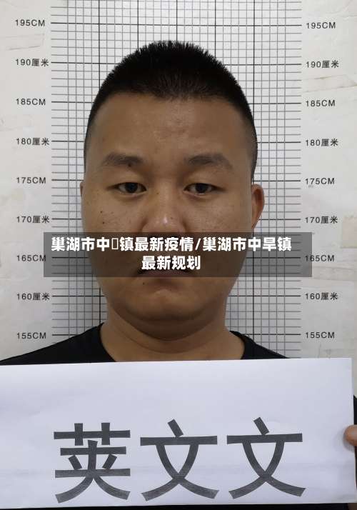 巢湖市中垾镇最新疫情/巢湖市中旱镇最新规划