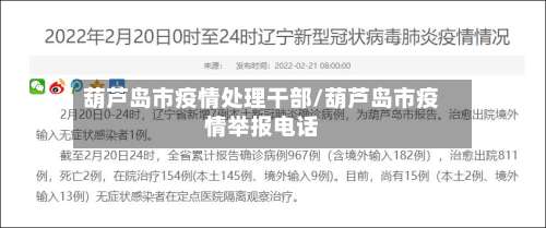 葫芦岛市疫情处理干部/葫芦岛市疫情举报电话-第2张图片