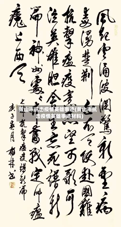 黄山市抗击疫情英雄事迹(黄山市抗击疫情英雄事迹材料)-第2张图片