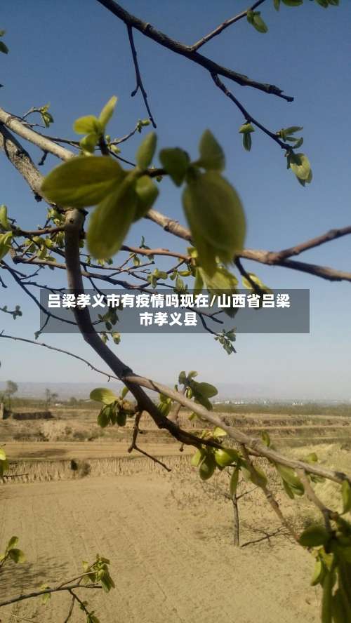 吕梁孝义市有疫情吗现在/山西省吕梁市孝义县