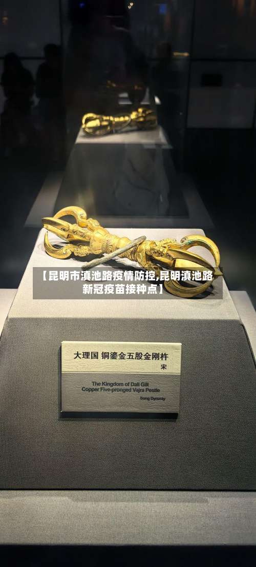 【昆明市滇池路疫情防控,昆明滇池路新冠疫苗接种点】