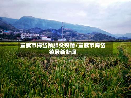 宣威市海岱镇肺炎疫情/宣威市海岱镇最新新闻-第3张图片