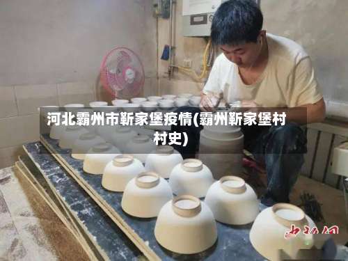 河北霸州市靳家堡疫情(霸州靳家堡村村史)