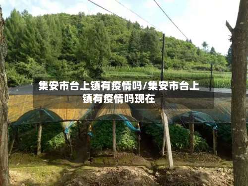 集安市台上镇有疫情吗/集安市台上镇有疫情吗现在