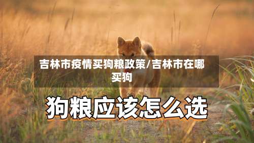 吉林市疫情买狗粮政策/吉林市在哪买狗