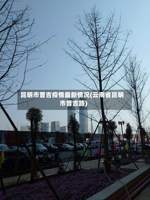昆明市普吉疫情最新情况(云南省昆明市普吉路)