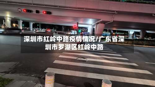 深圳市红岭中路疫情情况/广东省深圳市罗湖区红岭中路-第3张图片