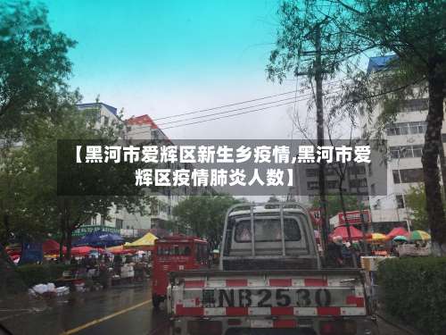 【黑河市爱辉区新生乡疫情,黑河市爱辉区疫情肺炎人数】-第3张图片