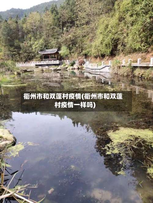 衢州市和双蓬村疫情(衢州市和双蓬村疫情一样吗)