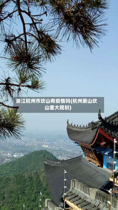 浙江杭州市坎山有疫情吗(杭州萧山坎山重大规划)